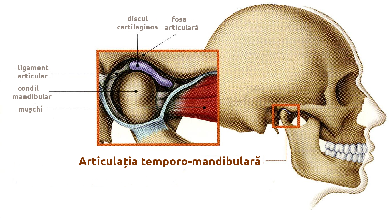 Disfuncția articulației temporomandibulare (ATM) – Cauze și simptome